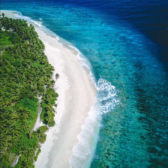 Meet your Posher, Jen - Picture 2 of 2